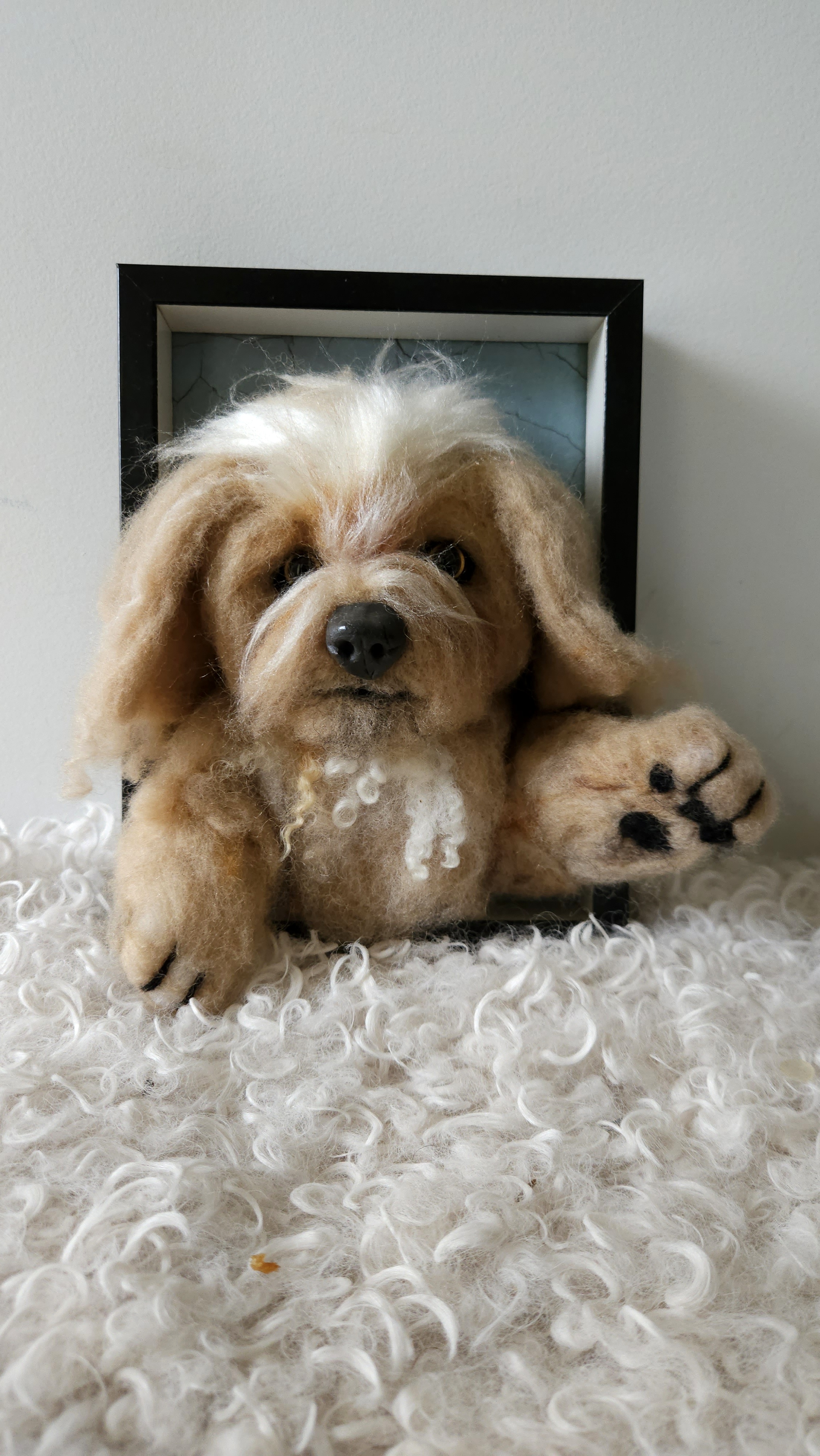 Pet Portrait