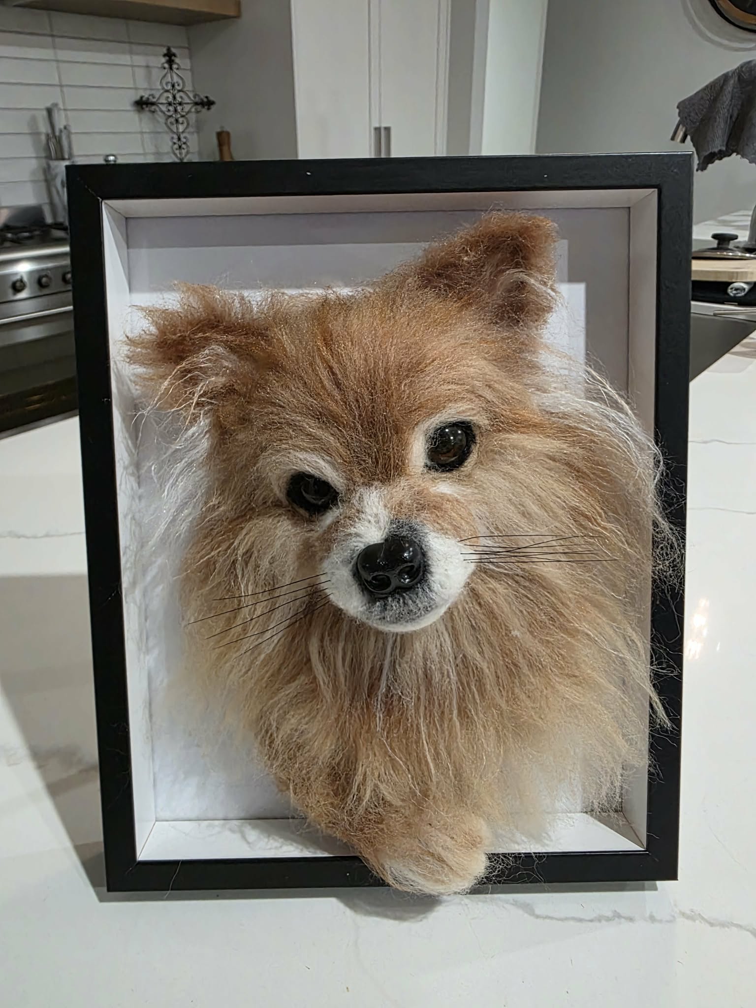 Frankie portrait close up