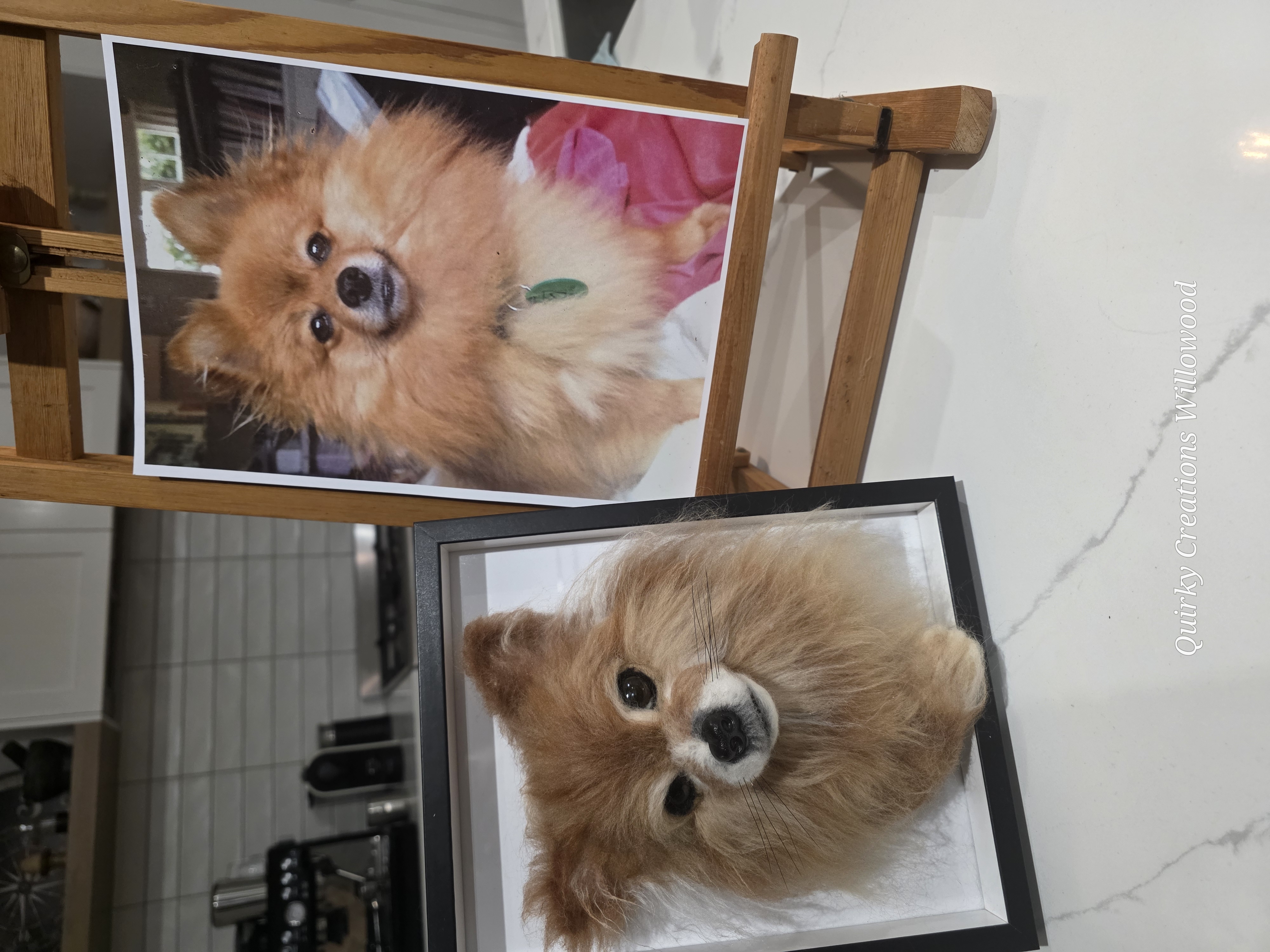 Frankie the dog